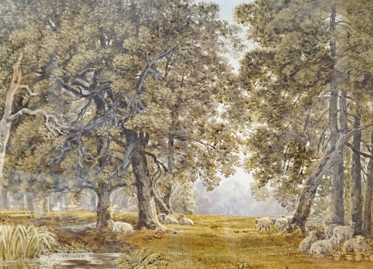 Attributed to George Barrett (1767-1842), watercolour, Sheep in woodland, J. Davey & Sons label verso, 31 x 42cm